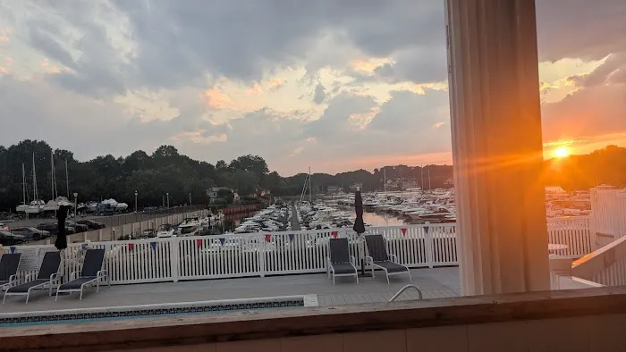 Whales Tale Picture 4