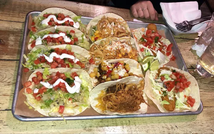 Whales Tale Picture 5