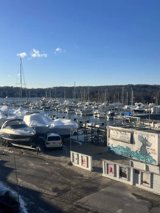 Whales Tale Picture 8