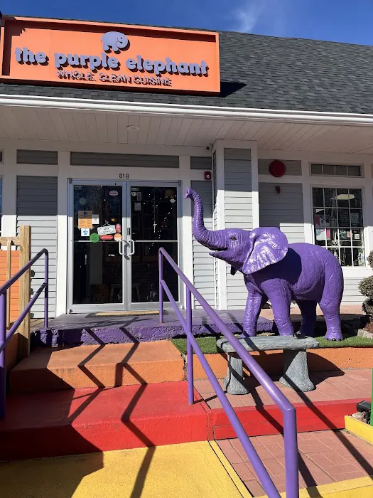 The Purple Elephant Picture 9