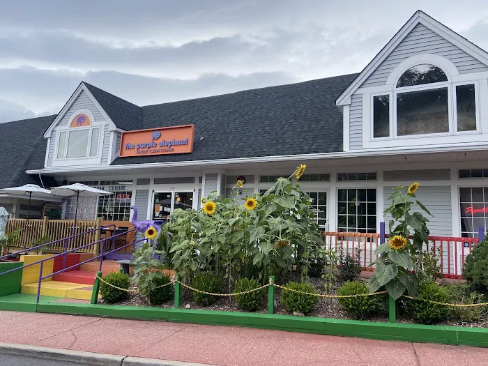 The Purple Elephant Picture 5