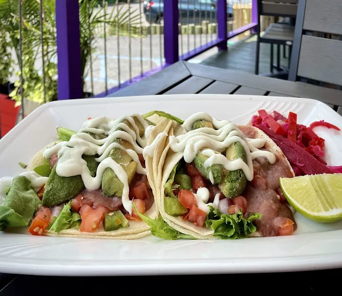 The Purple Elephant Picture 2