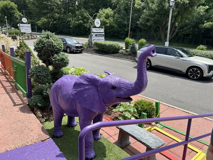 The Purple Elephant Picture 3