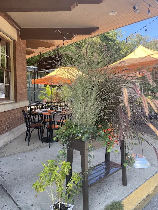 Locali Mt Kisco Picture 3