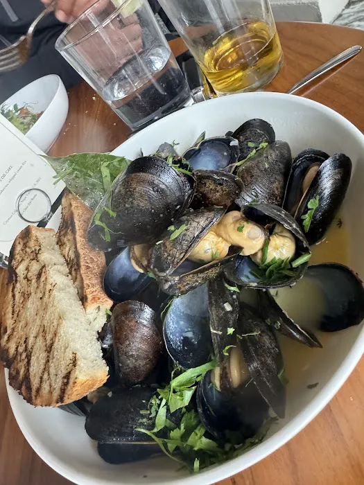 Terra Ristorante Italiano Picture 2