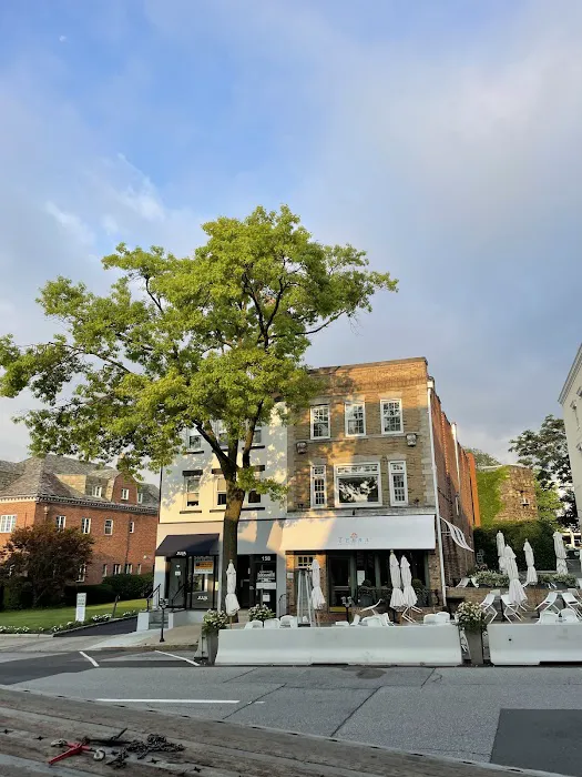 Terra Ristorante Italiano Picture 7