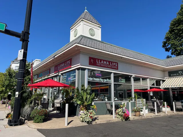 Llama Lips Restaurant Pure Peruvian Home Cooking Picture 9