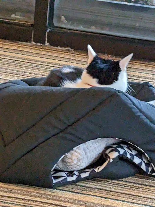 Chopsticks King Picture 1