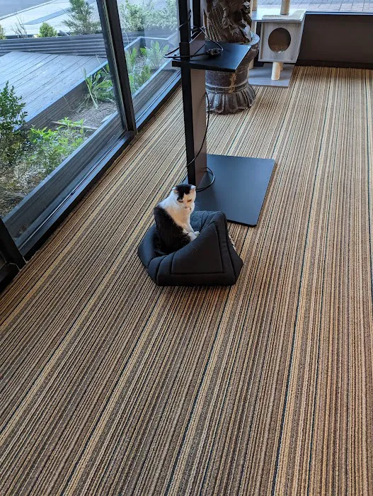 Chopsticks King Picture 2