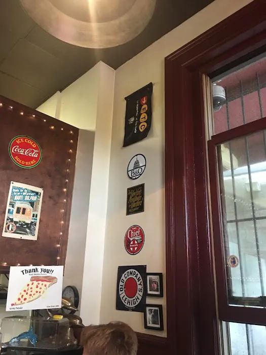 Nauti Dolphin Picture 2