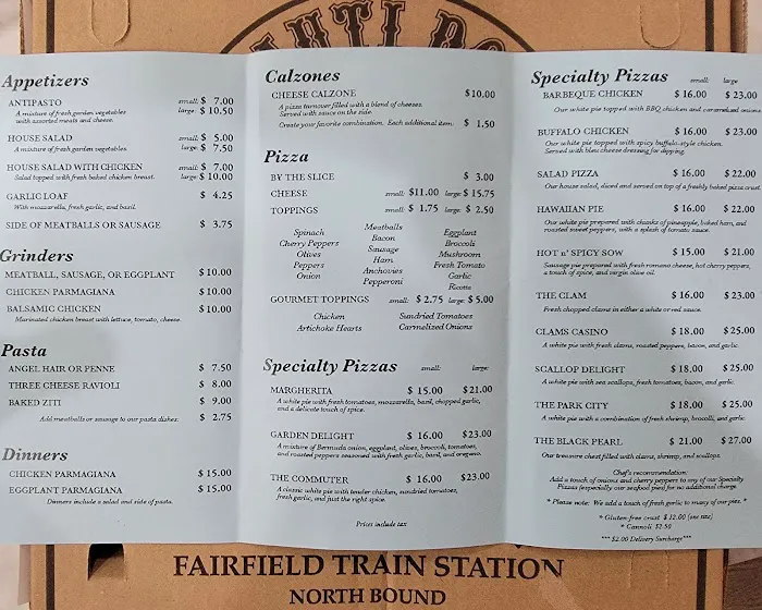 Nauti Dolphin Picture 3