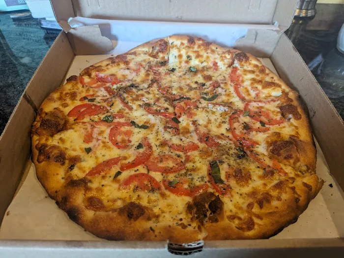 Nauti Dolphin Picture 5