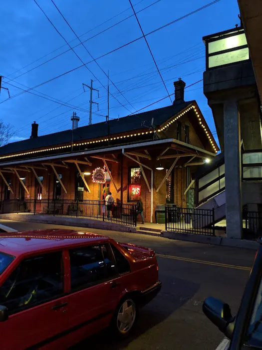 Nauti Dolphin Picture 1