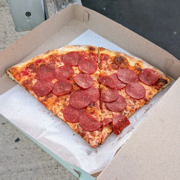 Nauti Dolphin Picture 10