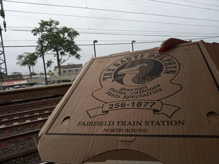 Nauti Dolphin Picture 8