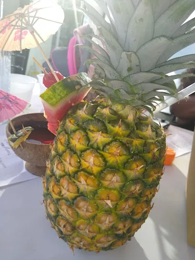 Trefz Corporation Picture 2