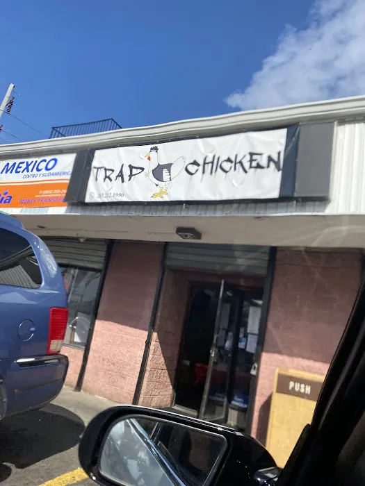 Trap chicken Picture 4