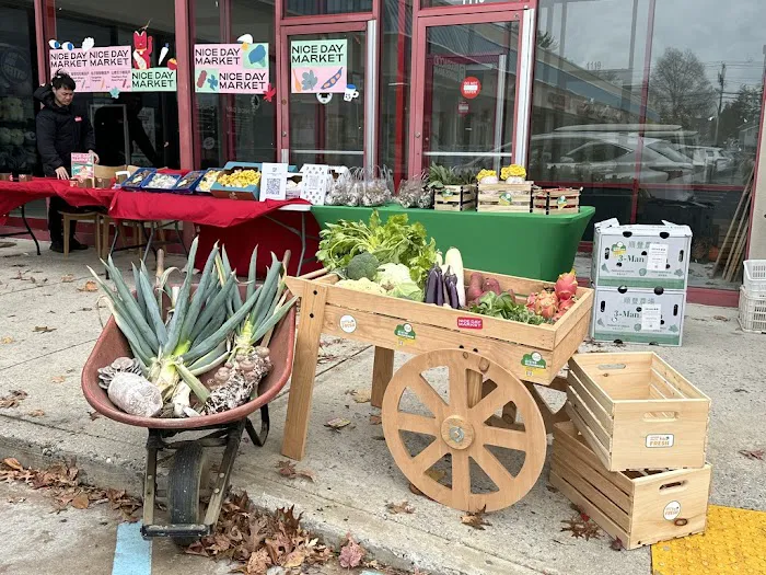 Nice Day Chinese Takeout | Plainview NY 好日子外卖店 Picture 7