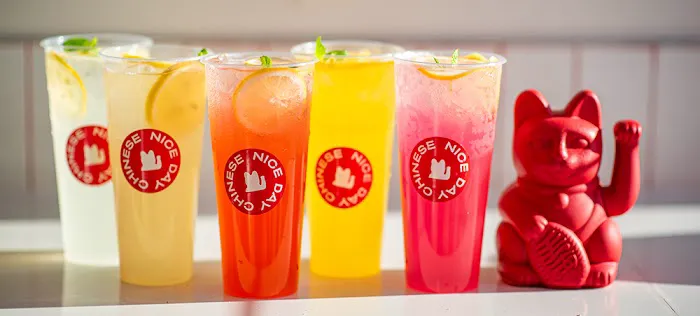 Nice Day Chinese Takeout | Plainview NY 好日子外卖店 Picture 2