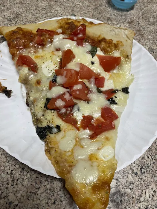 Village Pizzeria Picture 8