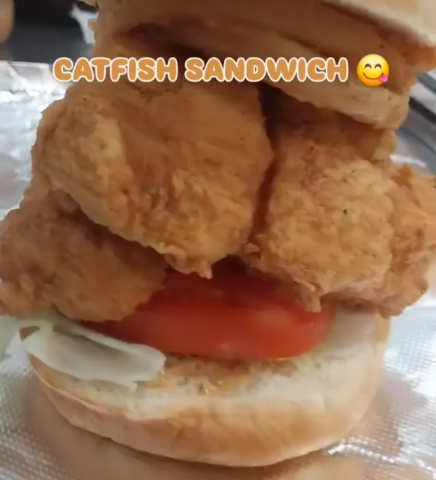 ChickenFish Picture 10