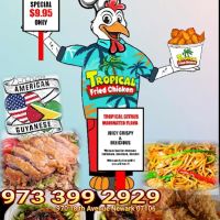 TROPICAL FRIED CHICKEN ico