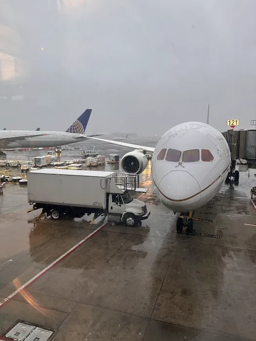 Flora Café Picture 9