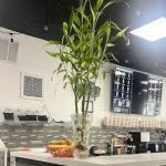 The Cottage Protein Bar