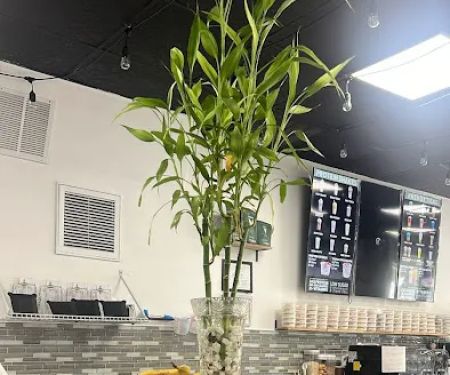 The Cottage Protein Bar