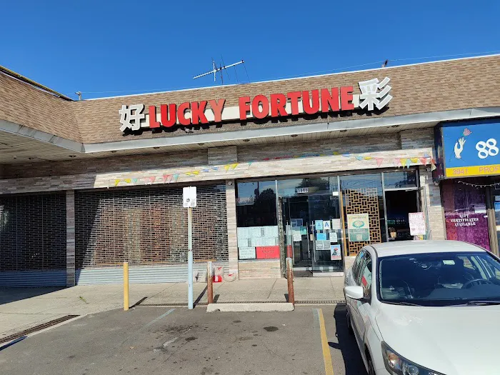 Lucky Fortune Picture 10