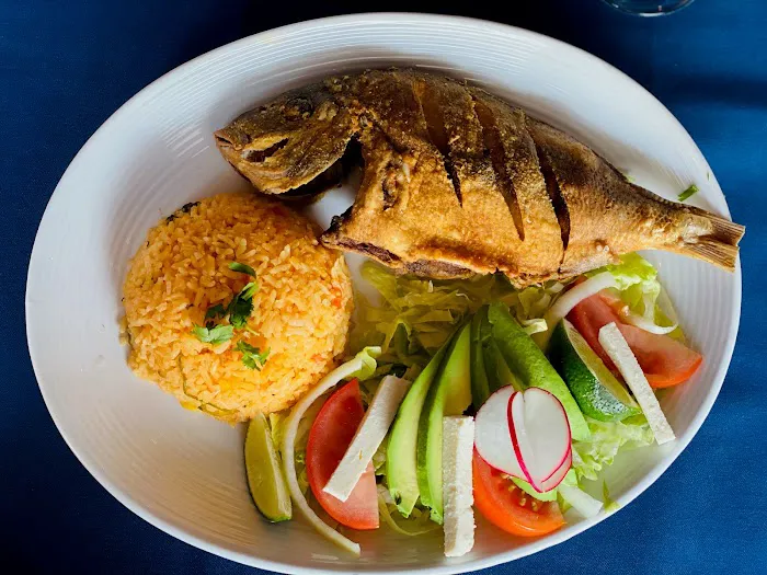 La Iguana Azul restaurant & lounge Picture 10