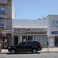 New Good Friends ico