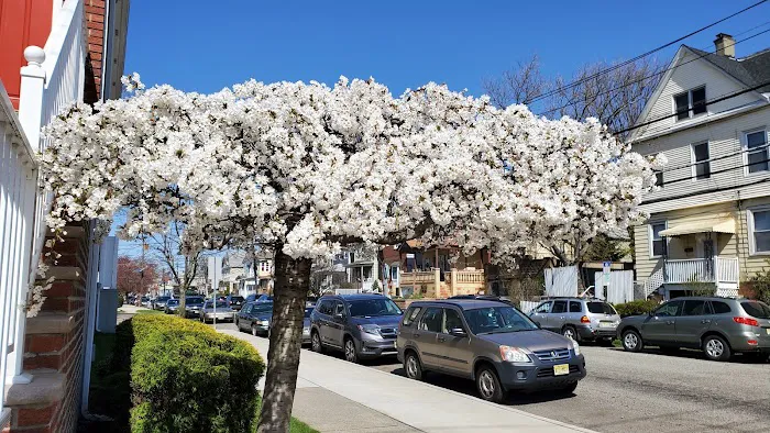 Thai O'Brien's Bar & Restaurant Picture 10