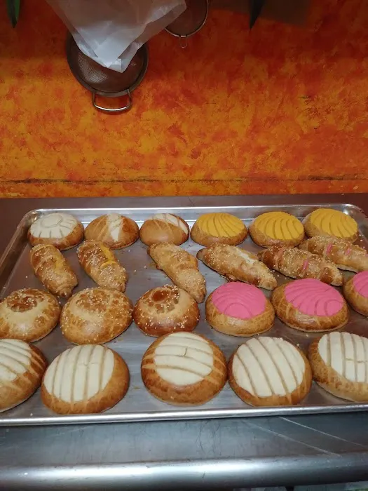 Tortilla Bite and Grill Picture 7