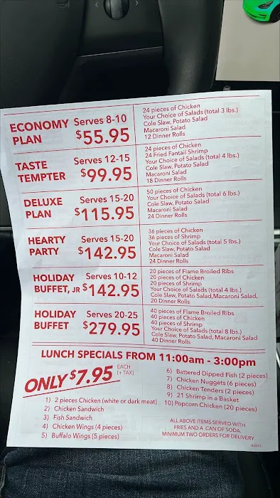 Chicken Holiday Picture 1