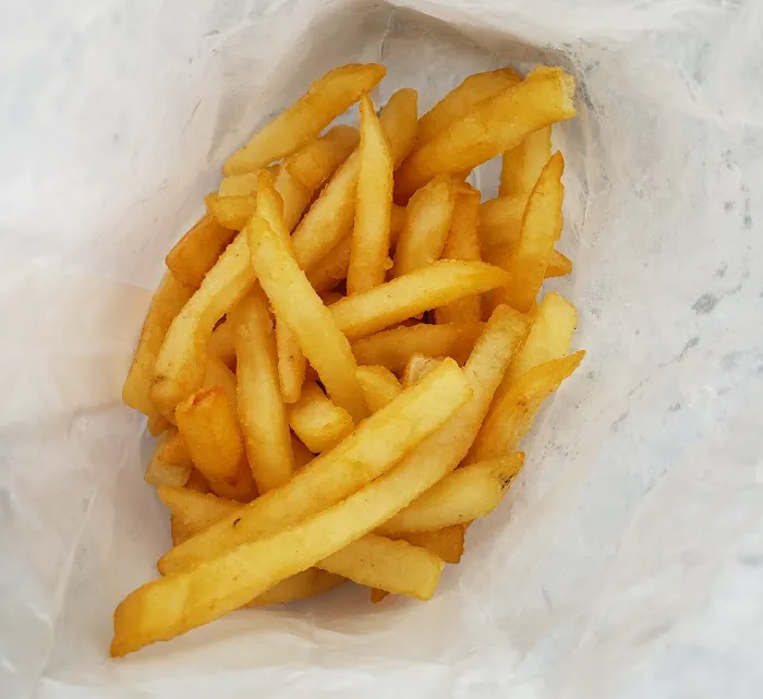 Chicken Holiday Picture 2