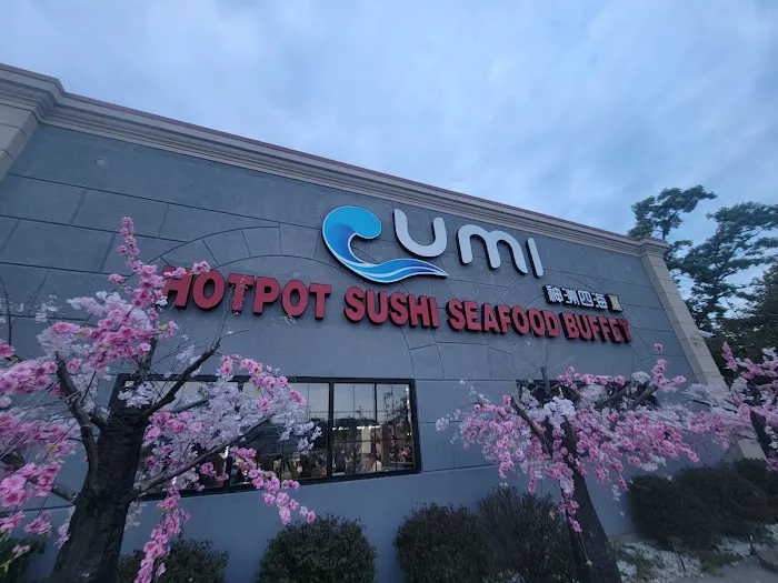 Umi Hotpot Sushi & Seafood Buffet Picture 1