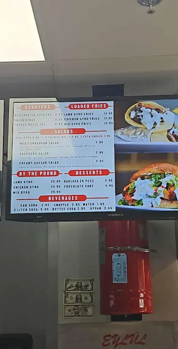 HOUSE OF GYRO Picture 10