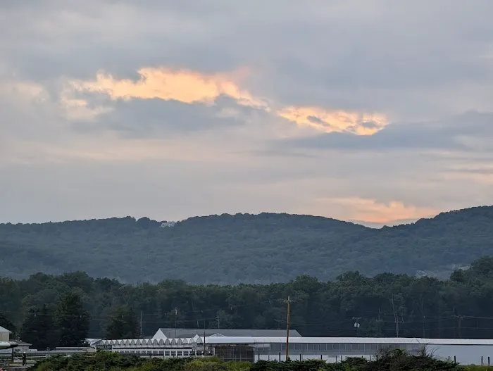 Sunset Pub & Grill Picture 7