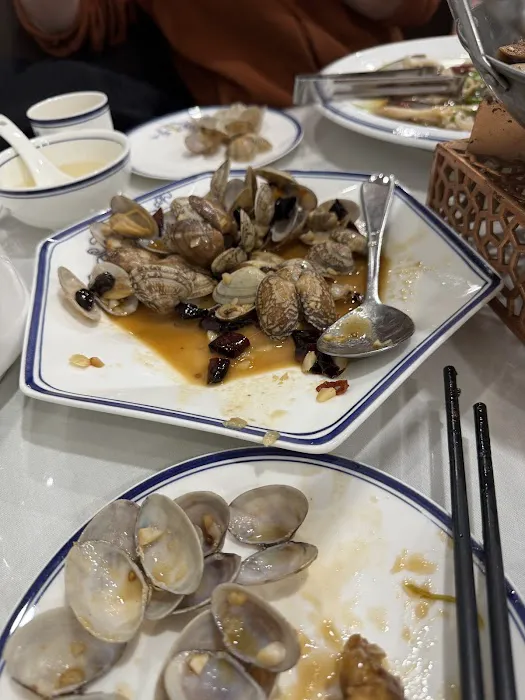 Tsing Tao Restaurant Picture 8