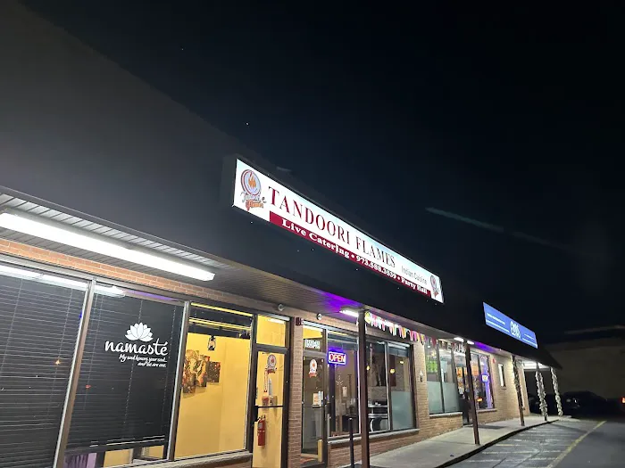 Tandoori Flames Picture 6