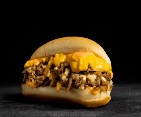 Pardon My Cheesesteak