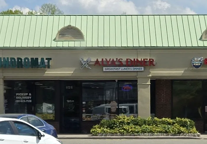 Alya's Diner Picture 2