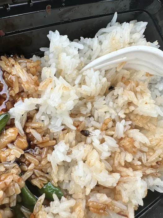 Hunachina Chinese Restaurant Picture 2