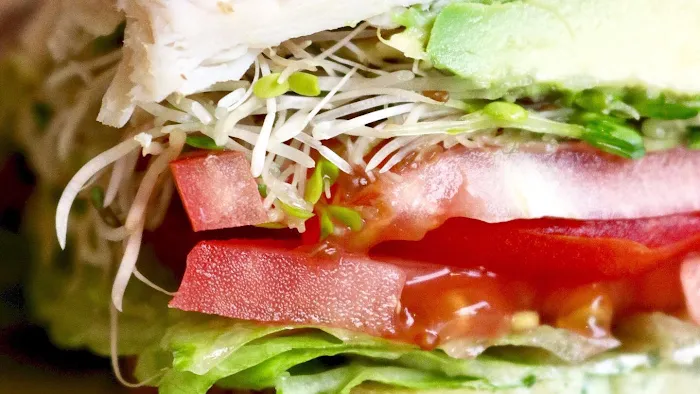 Batata Cafe & Grille Picture 9