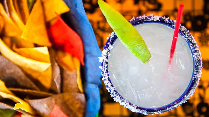 Tequila Revolucion Picture 9