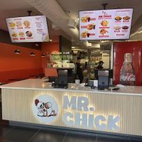 Mr. Chick & Ms. Dimsum ico