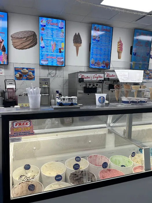 Mr Softee and Nathan's Famous Hot Dogs Picture 9