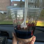 Mr Softee and Nathan's Famous Hot Dogs