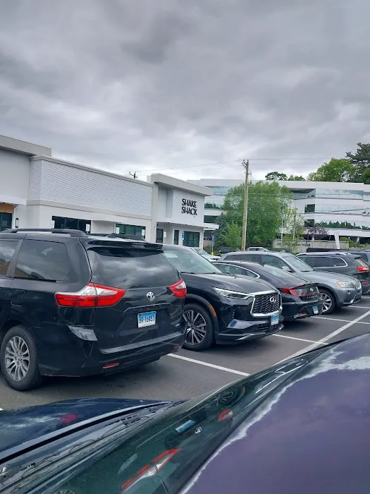 Shake Shack Stamford Picture 8